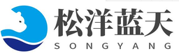 松洋蓝天 标识