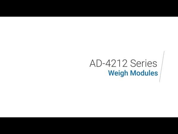 爱安德 AD-4212C-300 A&D爱安德AD-4212C-300注液机专用模块