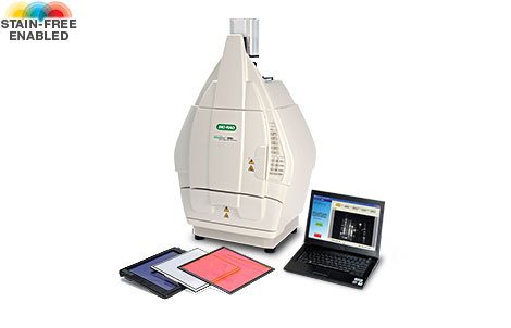 伯乐 ChemiDoc XRS+ Bio-Rad ChemiDoc XRS+化学发光成像系统