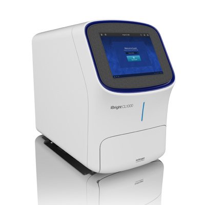 Invitrogen CL1000 iBright 智能成像系统 CL1000
