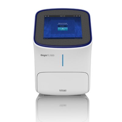Invitrogen FL1000 iBright智能成像系统 FL1000