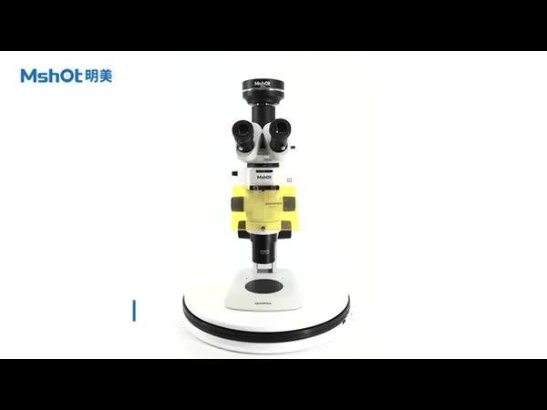 MSHOT 明美体视荧光显微镜MZX81 体视荧光显微镜 MZX81