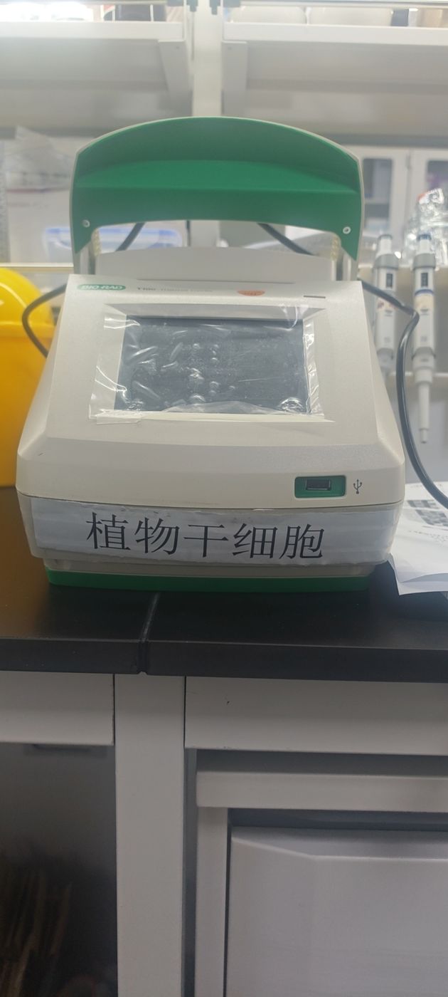 伯乐 T100™ T100™ PCR 仪 实拍图